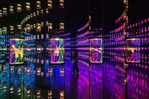 Museum of the Future Tickets